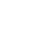e55